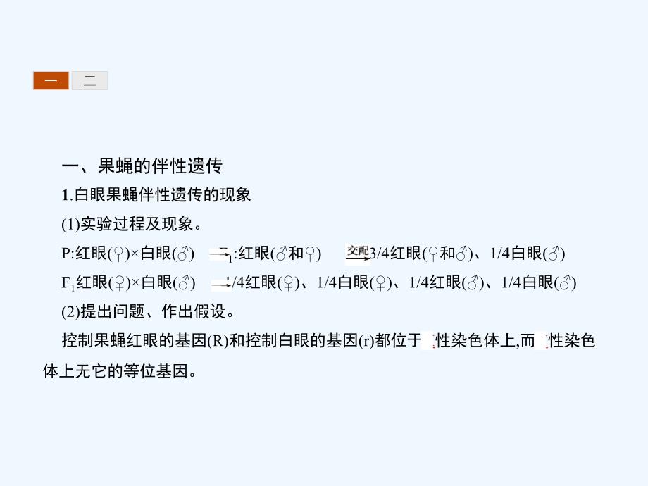 北师版生物必修二同步教学课件 4.3_第3页