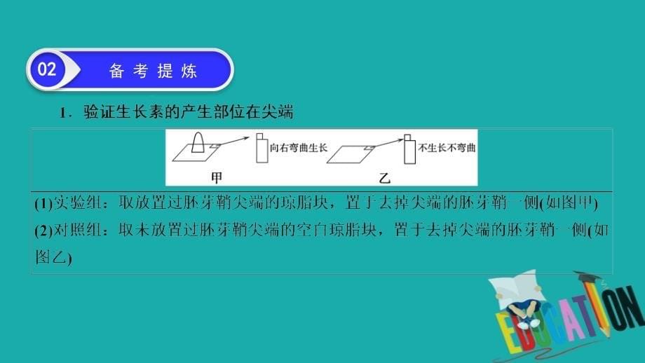 2021届课标版高考生物一轮复习课件：复习提升课13 植物激素调节的实验设计与分析_第5页