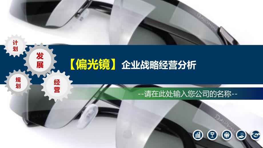 2020偏光镜企业战略经营分析_第1页