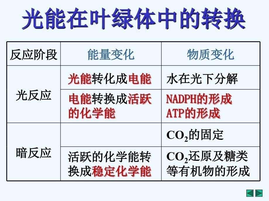 浙江省桐乡市高级中学高考生物一轮复习课件：光合作用与生物固氮复习 （共21张PPT）_第5页