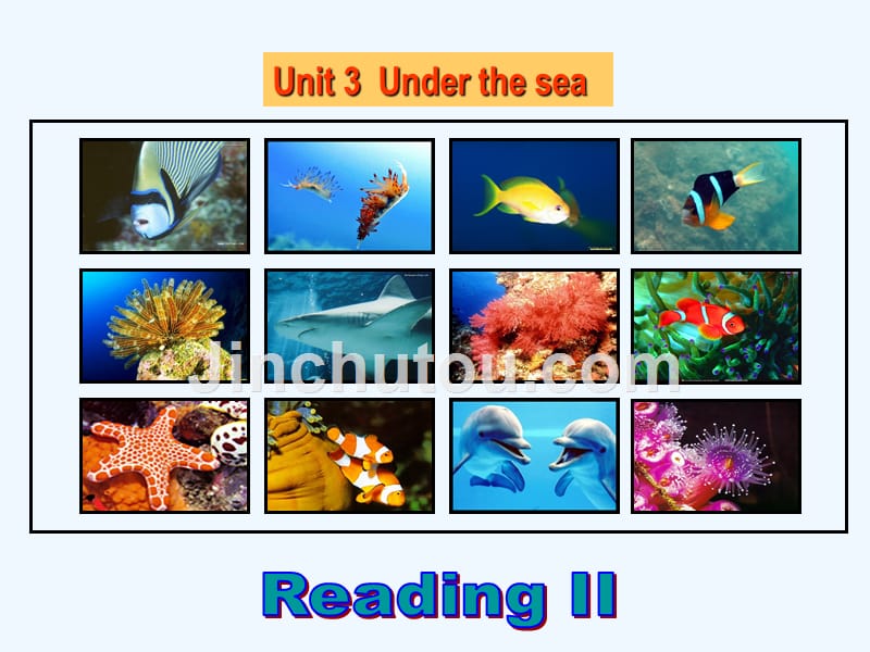 高中英语人教版选修7 Unit 3 Under the Sea period3 课件2_第1页