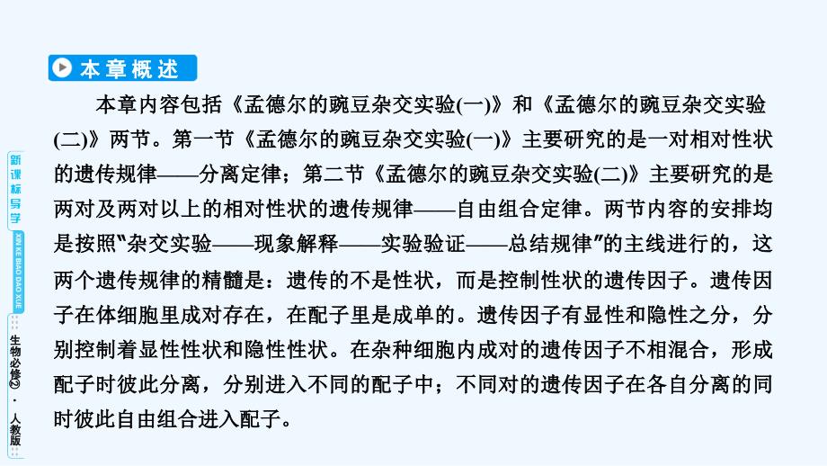 高中生物必修二（人教版）课件：第1章 第1节孟德尔的豌豆杂交实验（一）_第4页