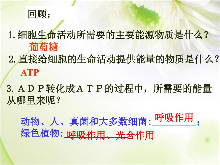 细胞呼吸(公开课用).ppt_第1页