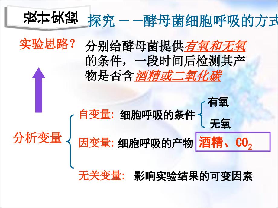 细胞呼吸(公开课用).ppt_第4页