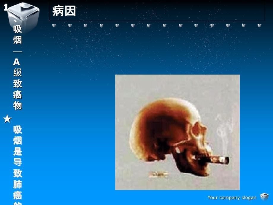 肺癌科普PPT.ppt_第5页