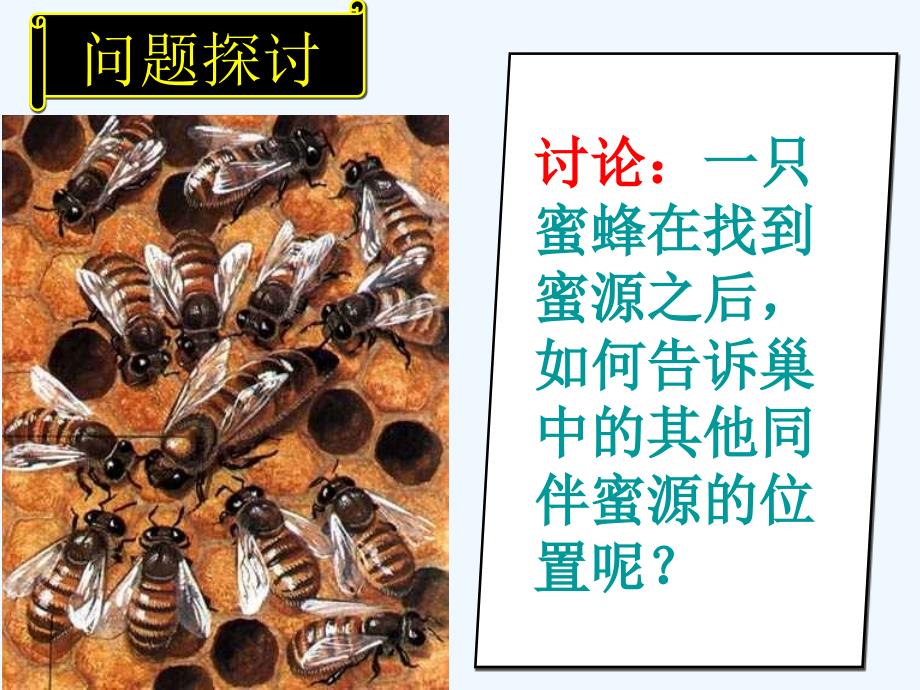 江苏省新马高级中学2016-2018学年高二生物必修三课件：5-4生态系统的信息传递 （共30张PPT）_第2页