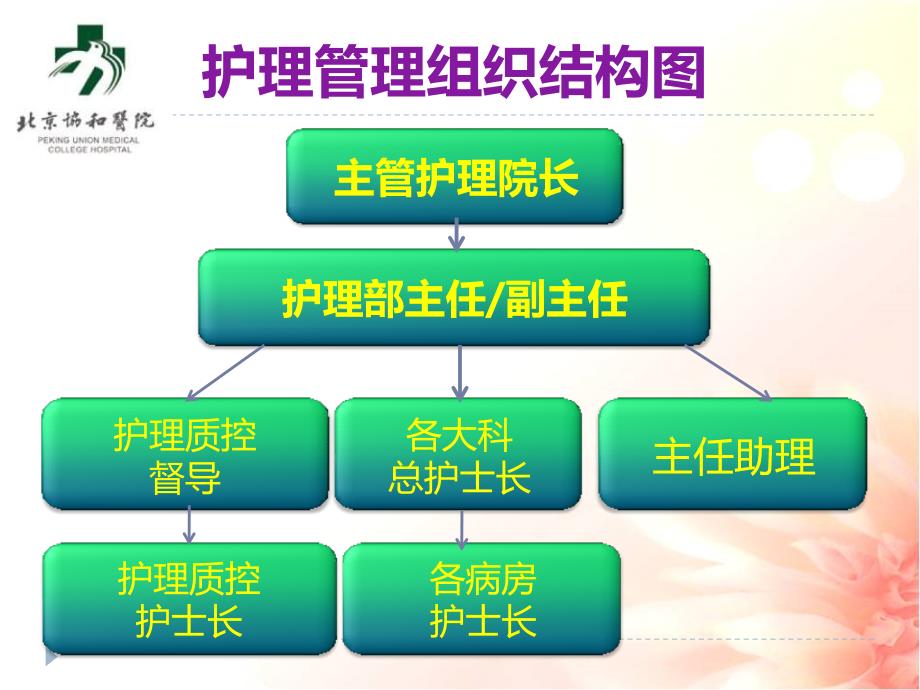 【医院管理案例学习】_医院组建专科护理团队实现专科专业专心北京协和医院实践案例_第3页