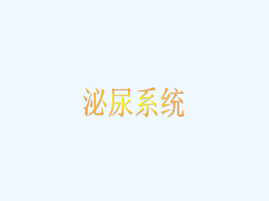 《泌尿系》课件_第1页