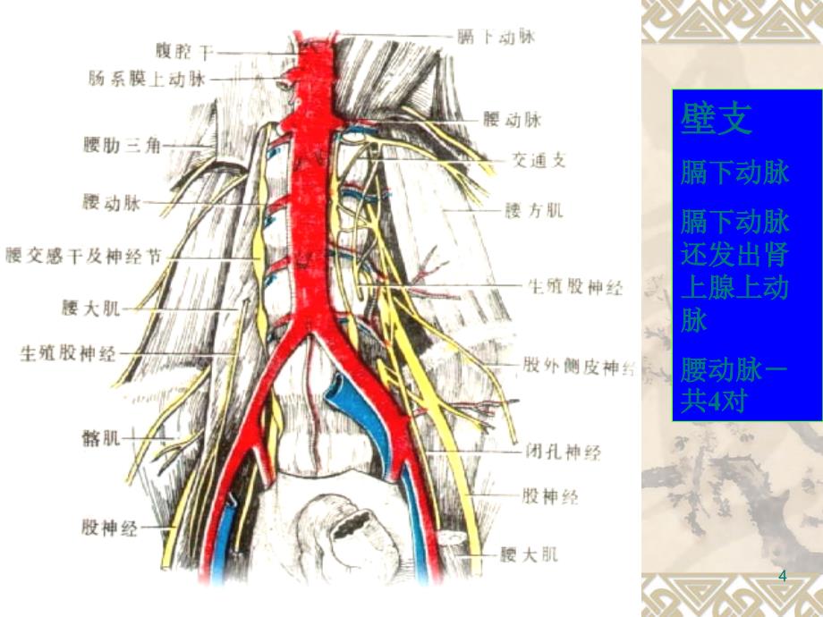 腹部血管疾病超声诊断ppt课件.ppt_第4页