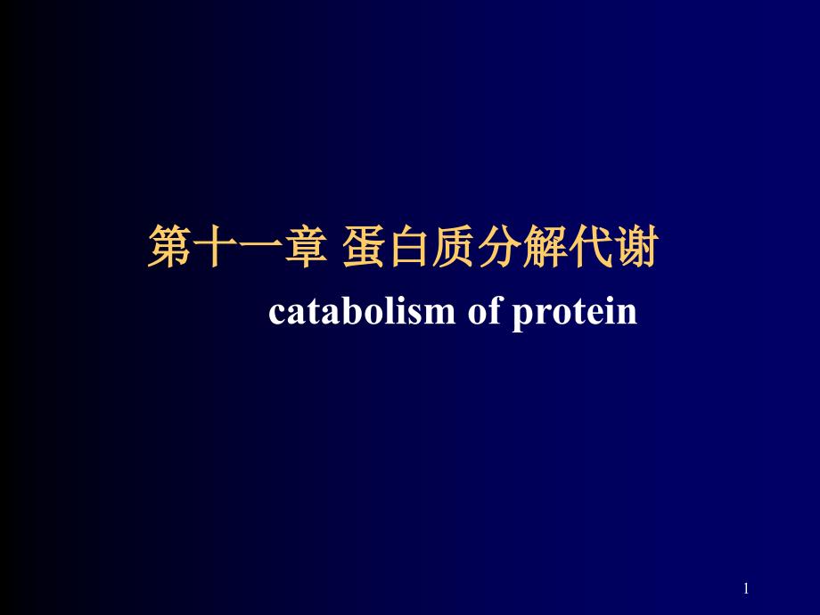 蛋白质分解代谢过程ppt课件.ppt_第1页
