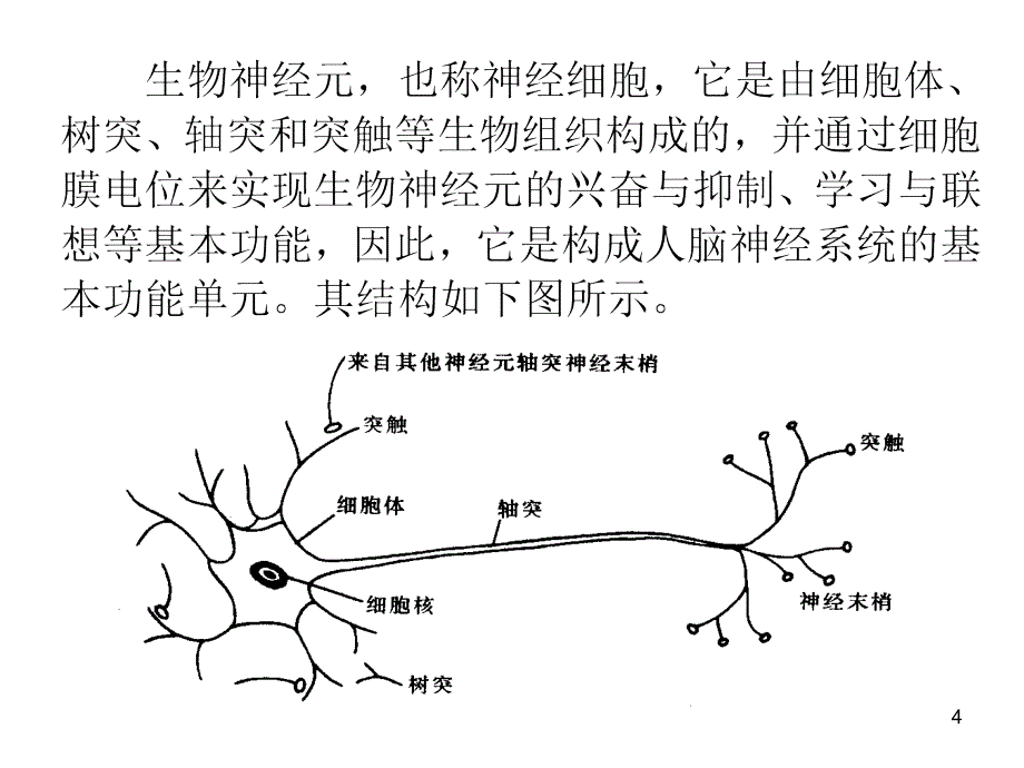 神经网络算法ppt课件.ppt_第4页