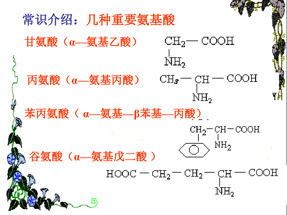 [C.课件]生命的基础-蛋白质课件1_第4页