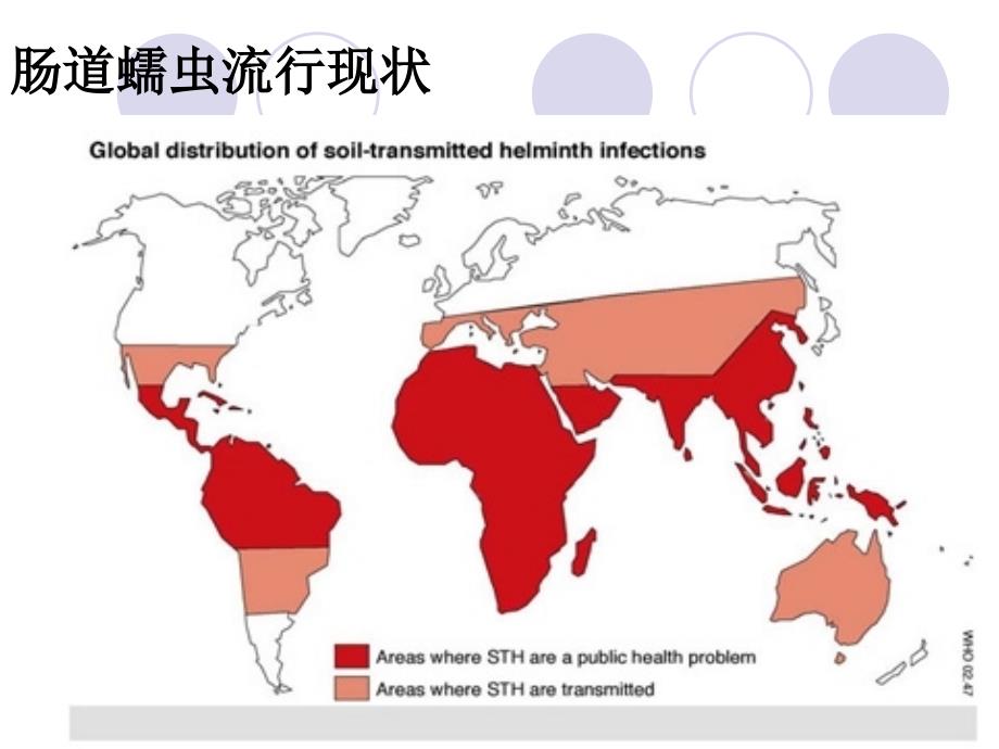 土源性线虫病PPT课件.ppt_第2页