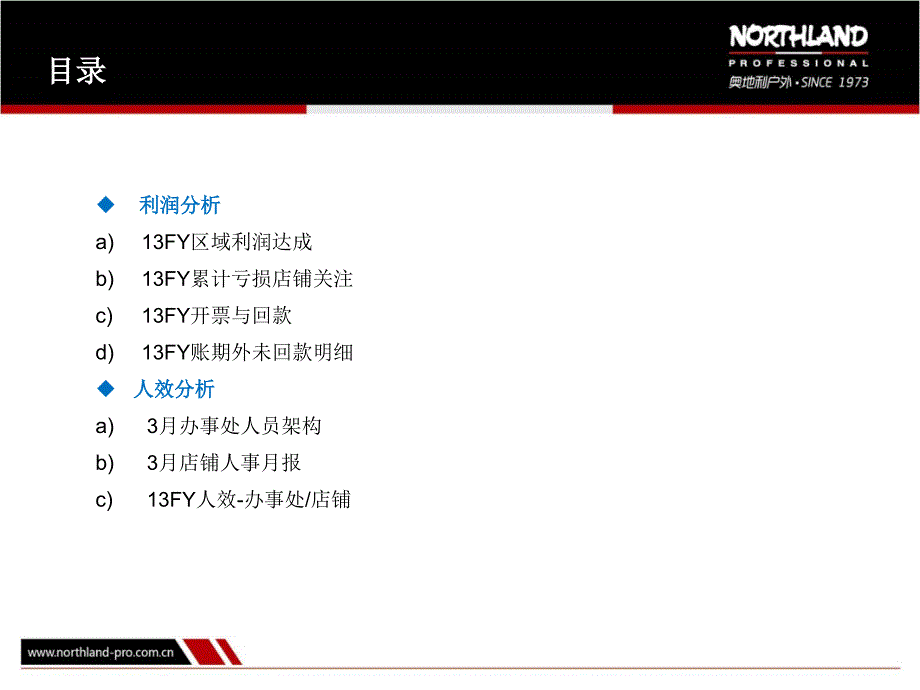 【精编】销售月报_第4页