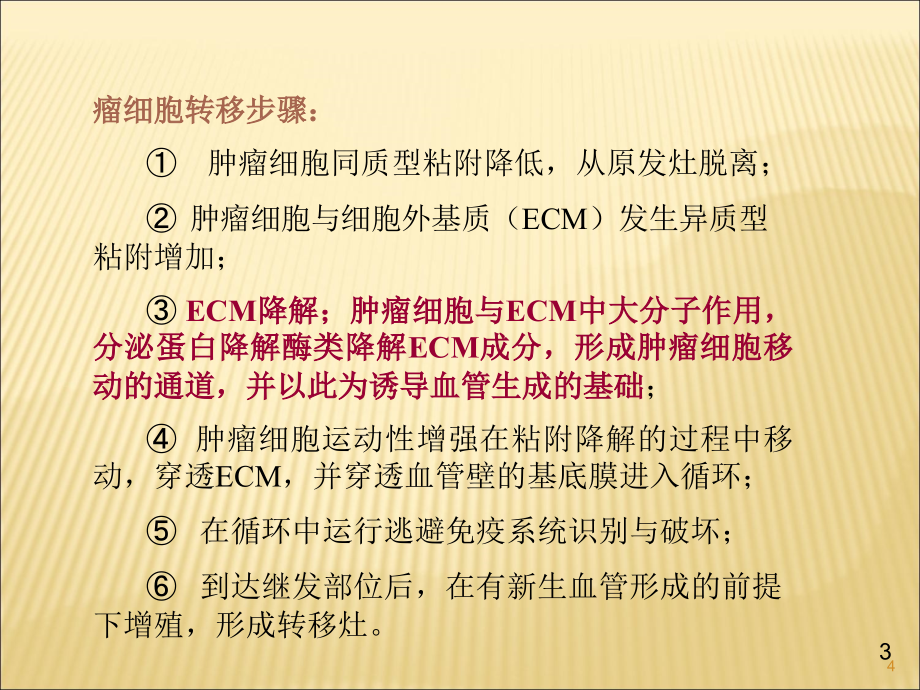 肿瘤的侵袭转移机制ppt课件.ppt_第4页