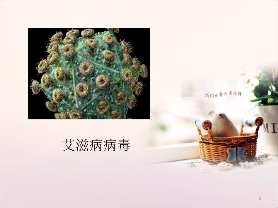 认识我们身边的其他生物ppt课件.ppt_第5页