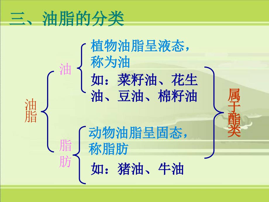 [C.课件]新人教选修1第一章第二节重要的体内能源-油脂_第4页