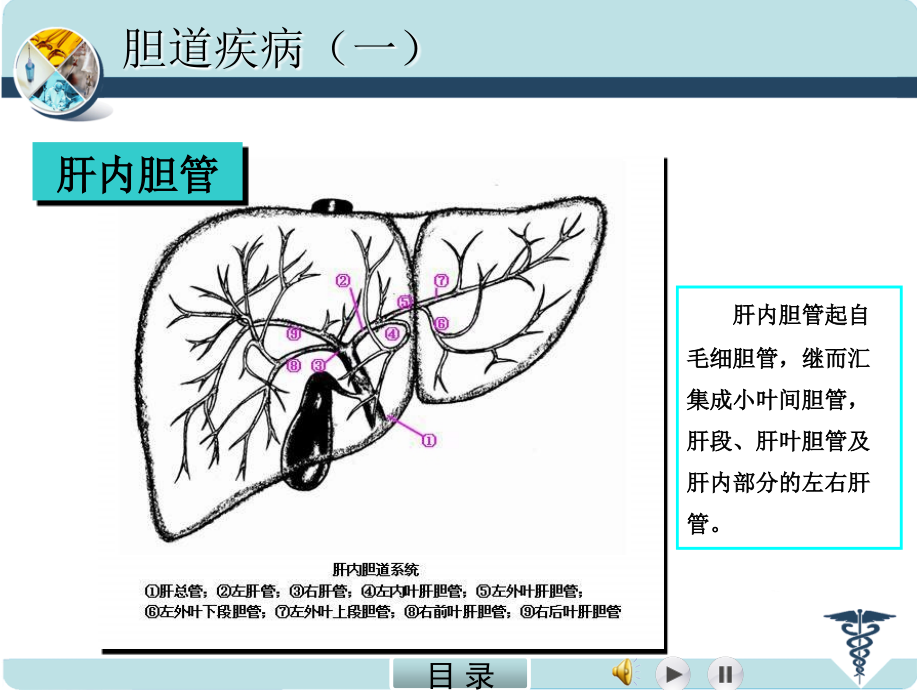 外科学(5)_第3页