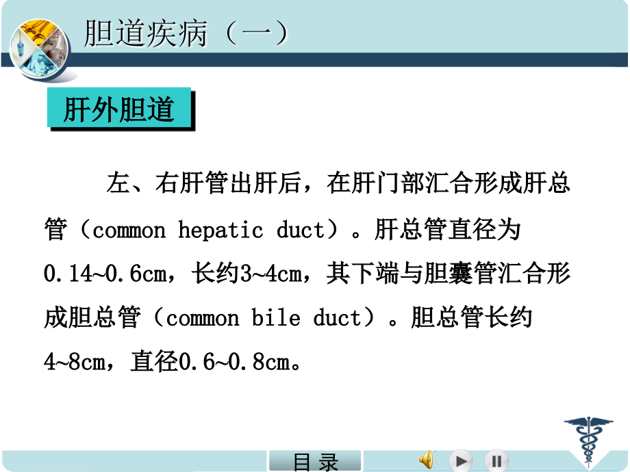 外科学(5)_第4页