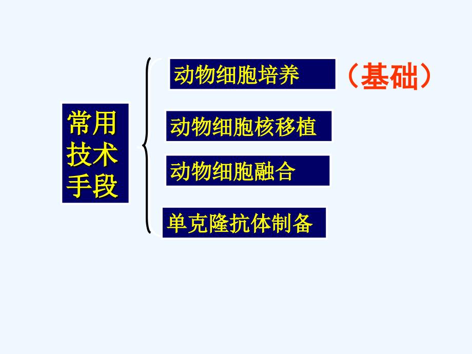 高等教育动物细胞培养和核移植技术讲课_第2页