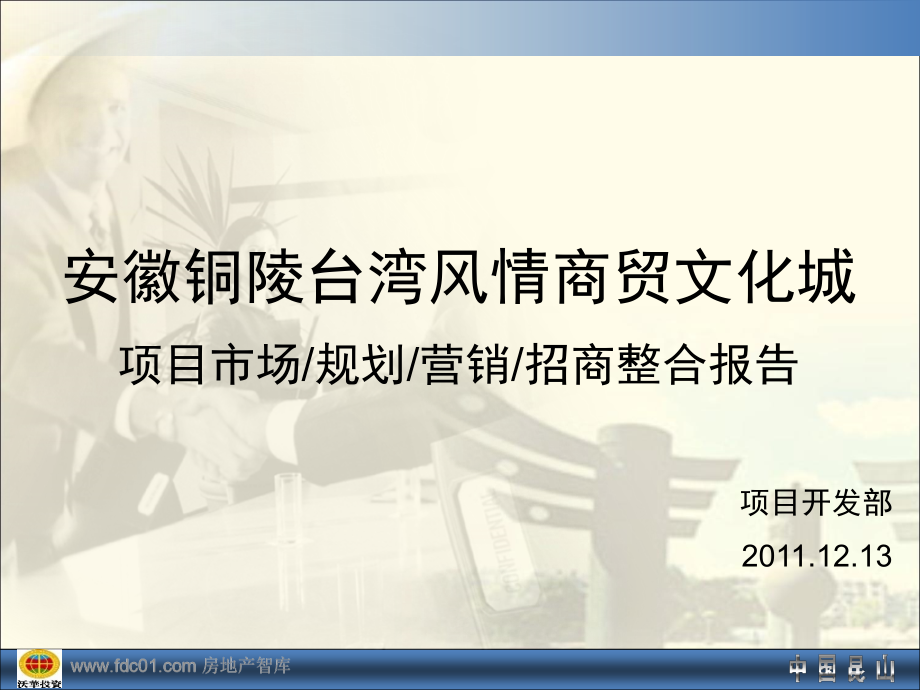 【精编】台湾风情商贸文化城项目整合报告_第1页