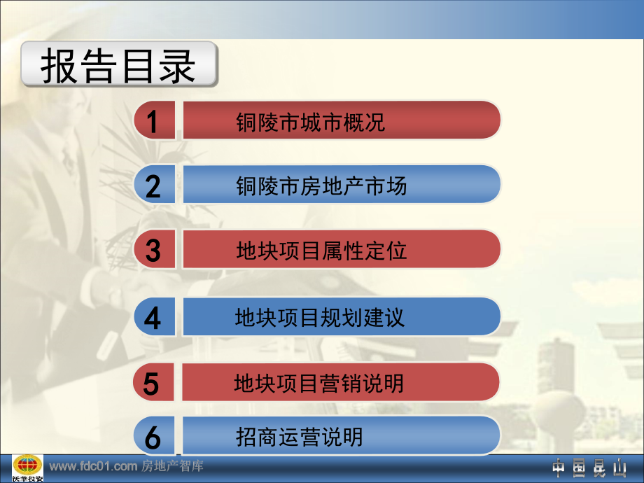 【精编】台湾风情商贸文化城项目整合报告_第2页