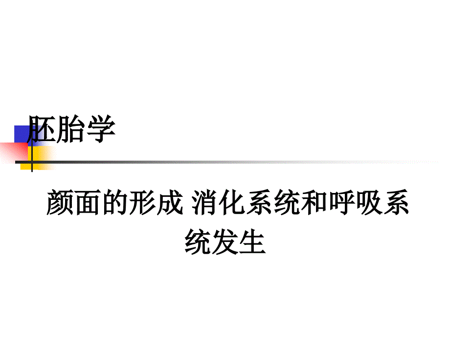 消化呼吸颜面系统发生PPT课件.ppt_第1页