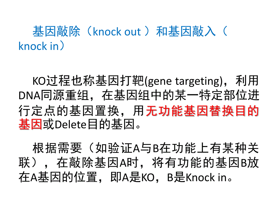 小鼠转基因研究方法_第4页