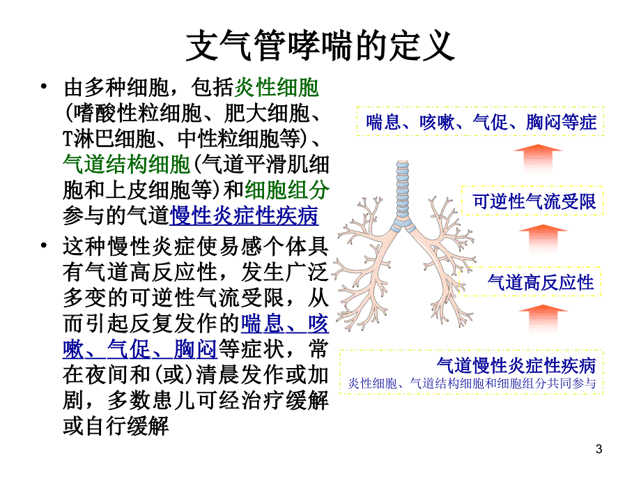 支气管哮喘诊断和治疗ppt课件.ppt_第3页