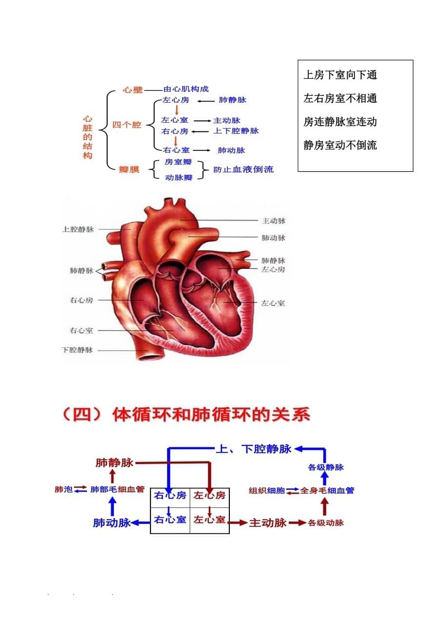 人版初一（下册）生物知识点总结大全_第5页