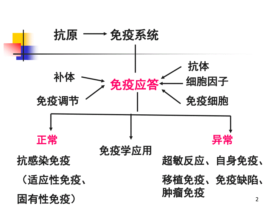 医学免疫学复习资料PPT课件.ppt_第2页