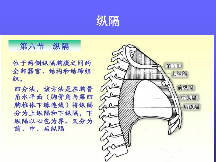 胸部摄影PPT课件.ppt_第4页