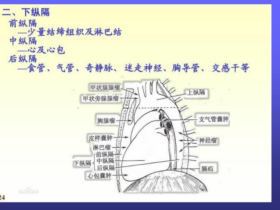 胸部摄影PPT课件.ppt_第5页