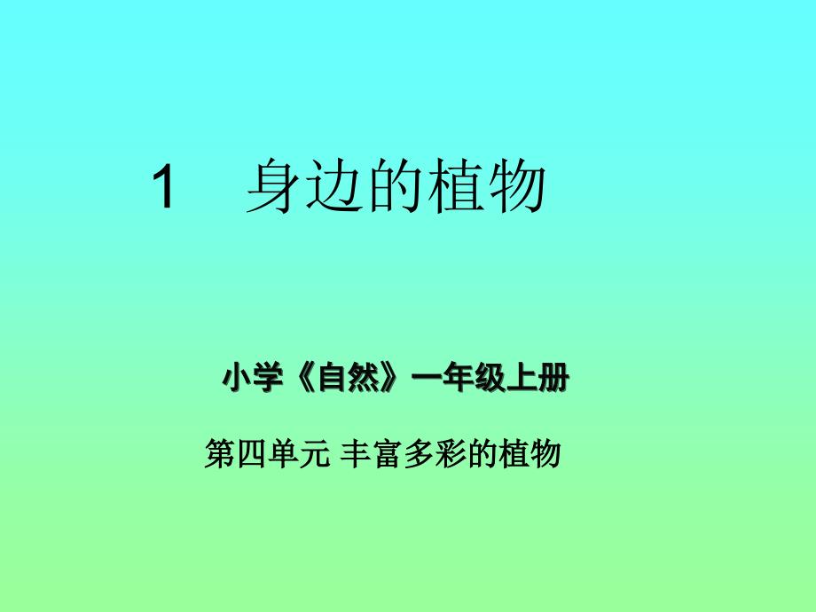 沪教版一年级上自然丰富多彩植物身边植物_第1页