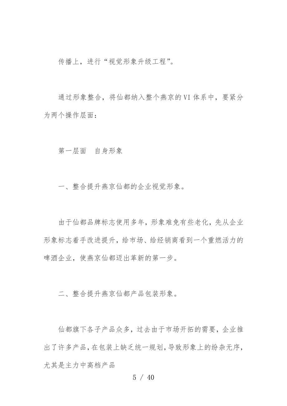 燕京·仙都啤酒区域营销规划_第5页