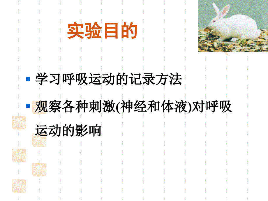 体内外多种刺激对呼吸运动调节的影响wu_第2页