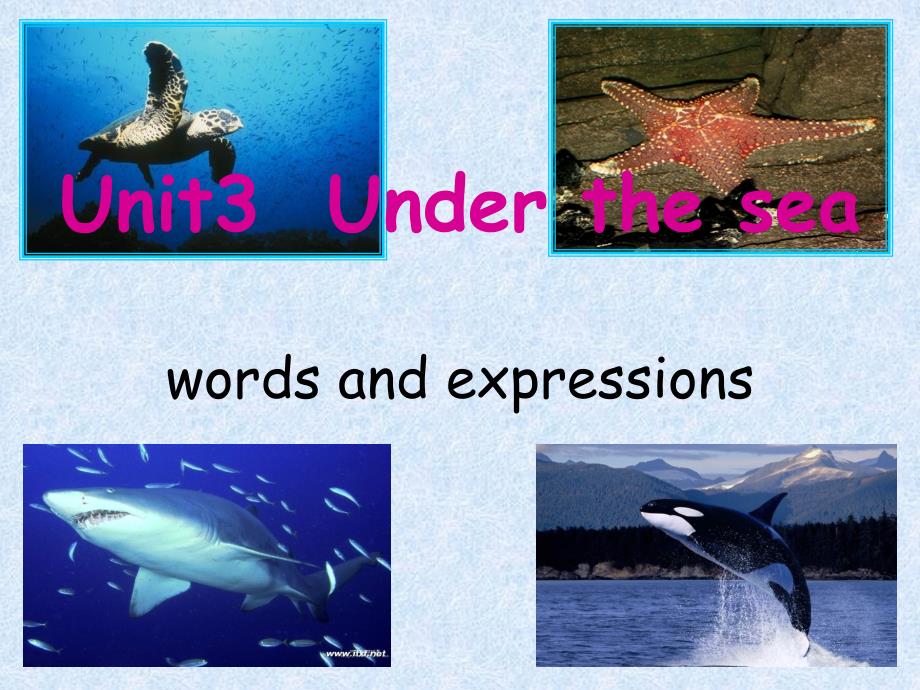 unit3under the sea单词课件_第1页