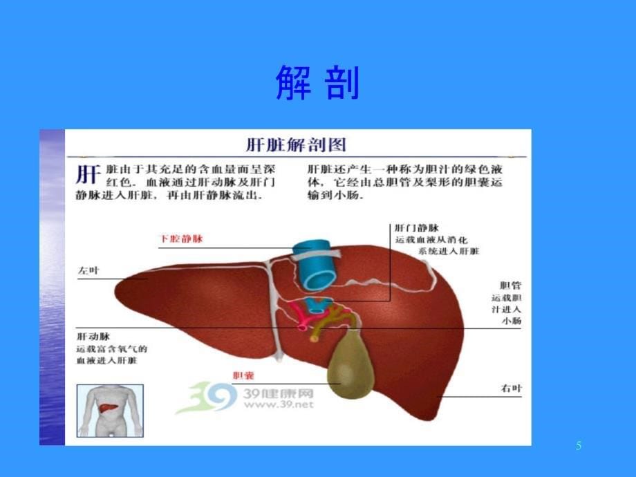 左半肝切术ppt课件.pptx_第5页