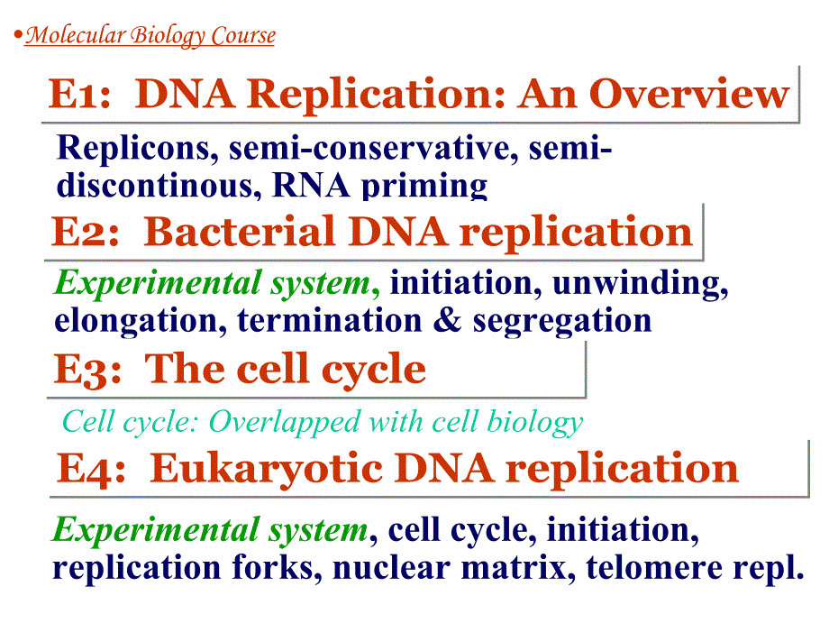 分子生物学 罗勤 05 Sec E 2013 luo_第2页