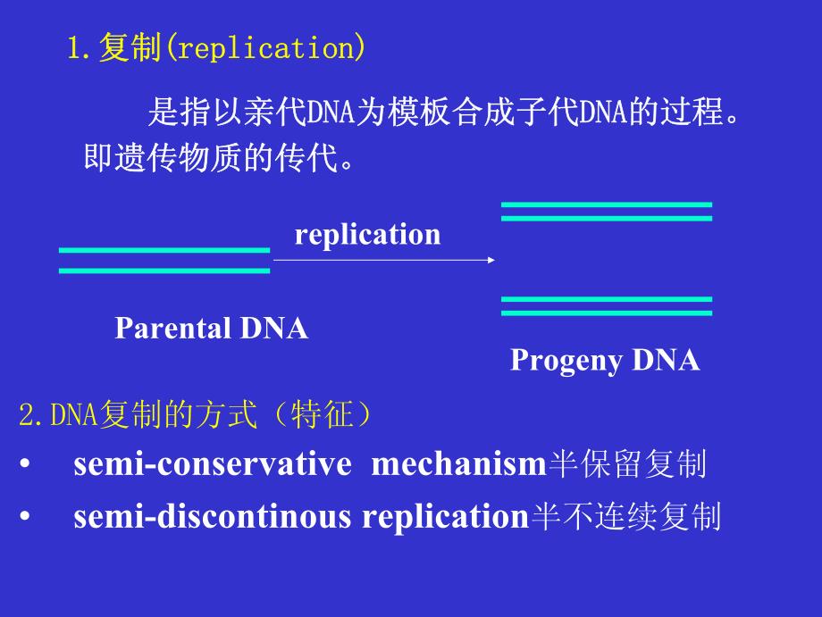 分子生物学 罗勤 05 Sec E 2013 luo_第4页