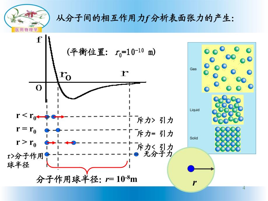 表面张力与表面能ppt课件.ppt_第4页