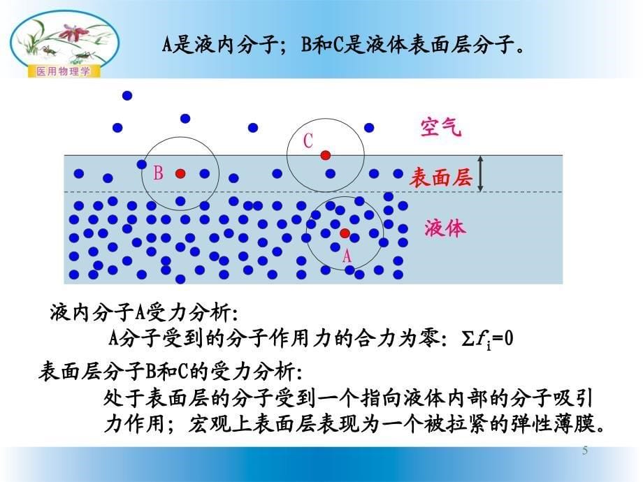 表面张力与表面能ppt课件.ppt_第5页