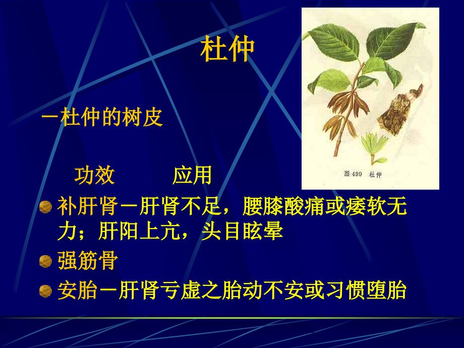 中药补阳药_第2页