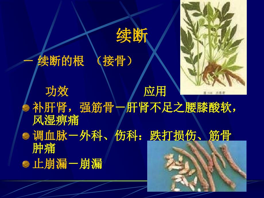 中药补阳药_第3页