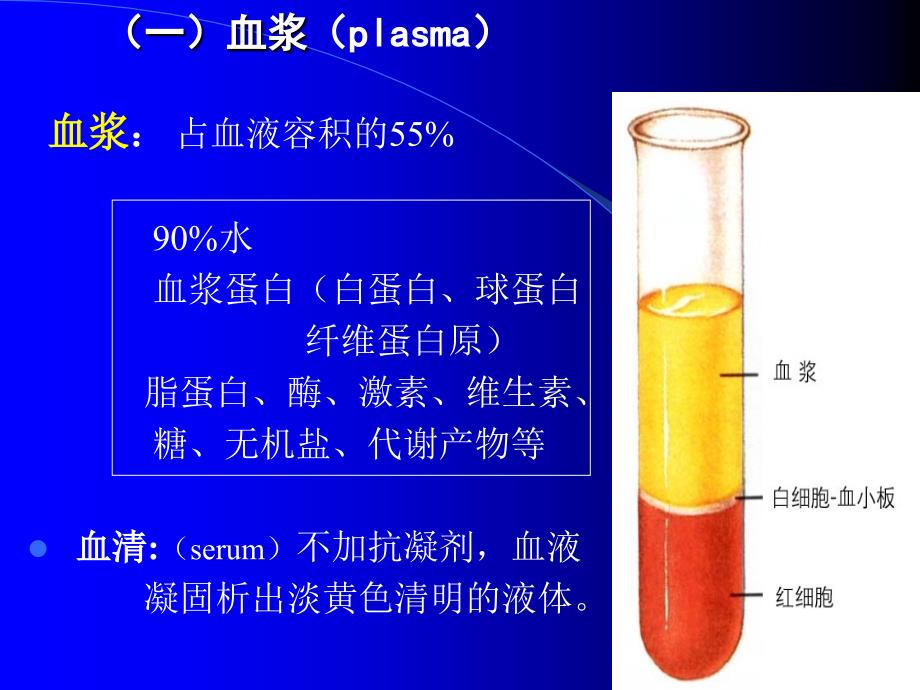 组织胚胎学血液淋巴与血ppt课件.ppt_第3页