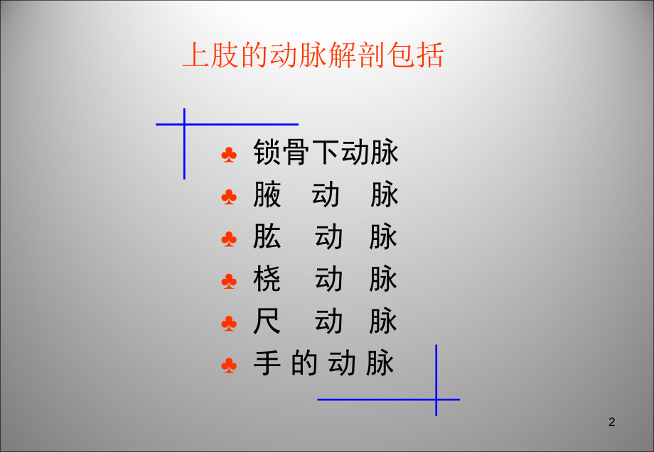 上下肢动脉的应用解剖ppt课件.ppt_第2页