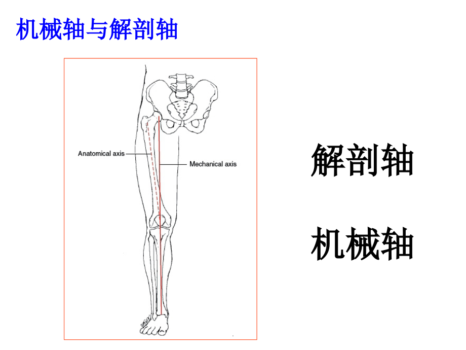 膝关节生物力学ppt课件.pptx_第4页