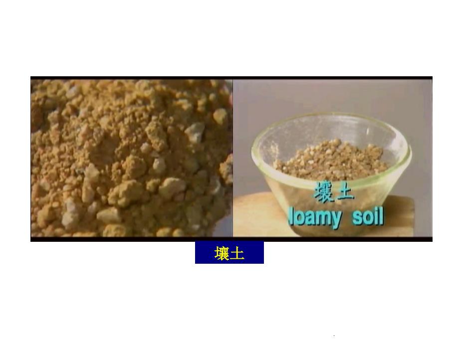 (青岛版)四年级科学下册 土壤与植物ppt课件.ppt_第4页