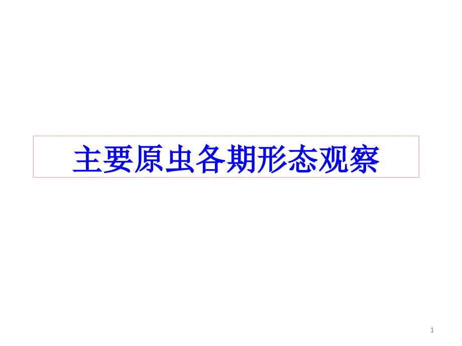 主要原虫各期形态观察ppt课件.pptx_第1页