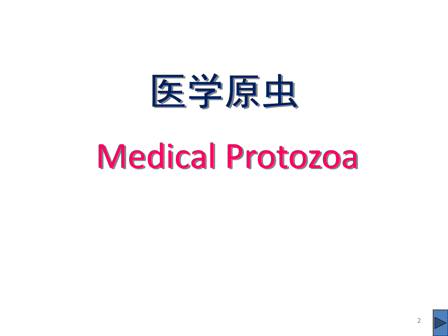 主要原虫各期形态观察ppt课件.pptx_第2页